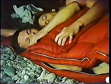 Vintage Bb - Sex In The Great Outdoors - Brian Thompson