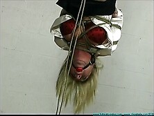 Upside Down Spanked And Crotchroped