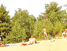 Nudist Beach Is The Best Opportunity For A Voyeur To Film