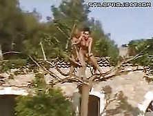 Tree Top Sex
